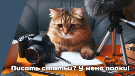 Текстовые авторы торжествуют: новые правила монетизации в Дзене
